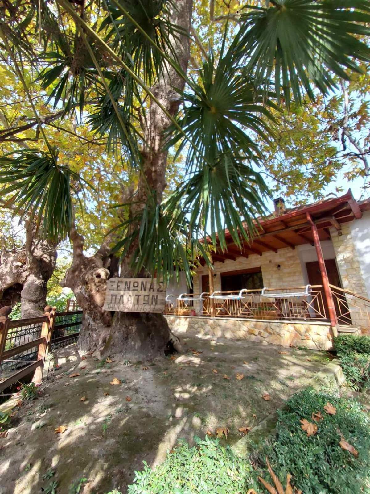 Guesthouse Platon Όρμα Εξωτερικό φωτογραφία