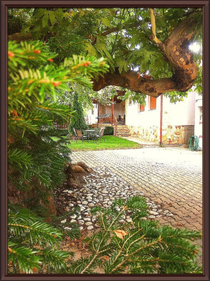 Guesthouse Platon Όρμα Εξωτερικό φωτογραφία