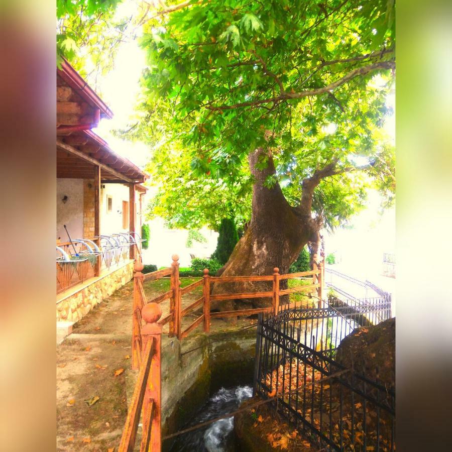 Guesthouse Platon Όρμα Εξωτερικό φωτογραφία